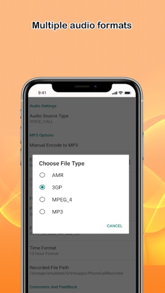 Phone Call Recorder - Preview 3