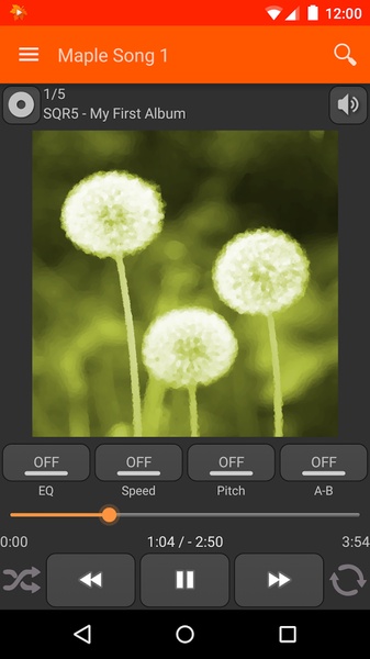 Maple JB - Preview 8