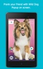 Dog in Phone screenshot 1