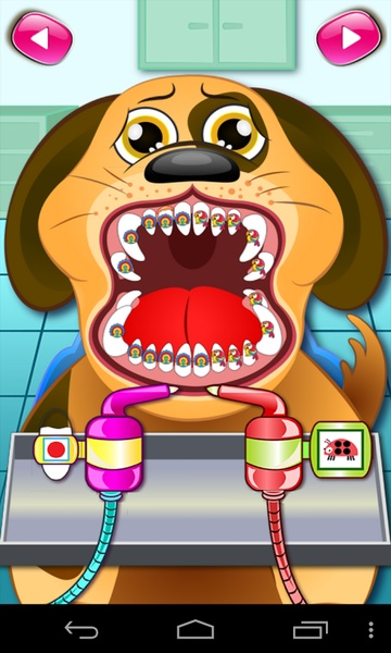 Animal Dentist Office - Preview 4