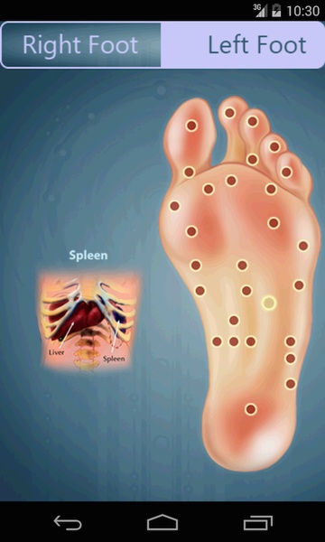 Reflexology - Preview 4