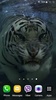 Tiger Video Live Wallpaper screenshot 7