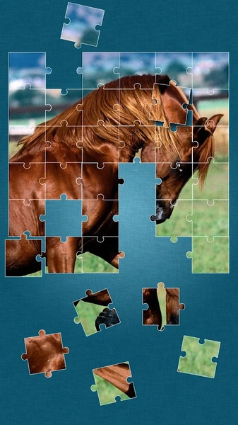 Horses Jigsaw Puzzle Game - Preview 15