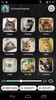 Cat Sounds Ringtones screenshot 3