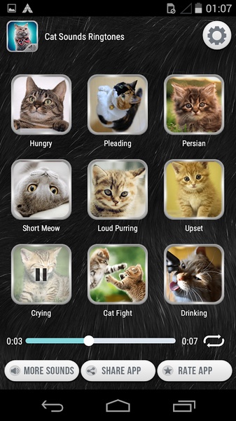 Cat Sounds Ringtones - Preview 3