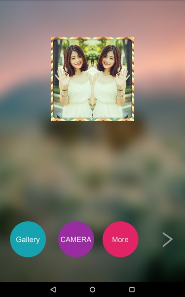 Mirror Photo Collage - Preview 6