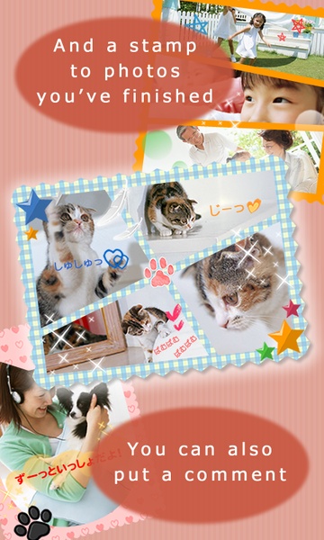 Photo Coordinator - Preview 2
