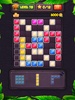Block Puzzle Level screenshot 3