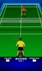 Badminton Fun screenshot 3