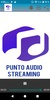 Punto Audio screenshot 5