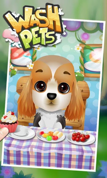 Wash Pets - Preview 5