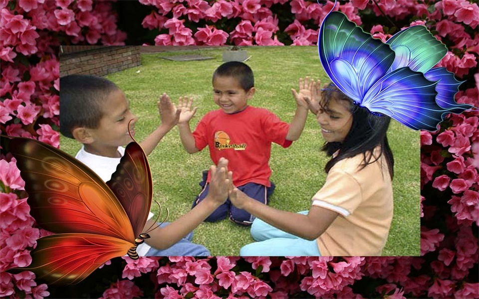 Butterfly Photo Frames - Preview 1