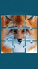 Animals Jigsaw Puzzle screenshot 15