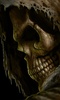Skulls Live Wallpaper screenshot 4