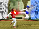 Taekwondo Fighting screenshot 2