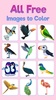 Birds Pixel Art Coloring Book screenshot 7