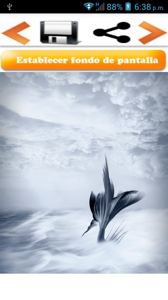 Fondos pantalla - Preview 6