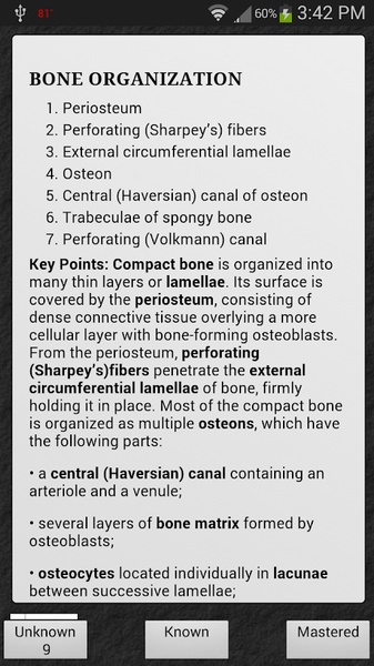 Histology - Preview 7