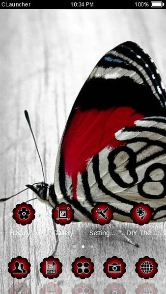 Beautiful Butterfly - Preview 1