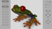 3D Frog Skeleton screenshot 16