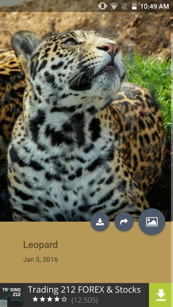 Wallgram - Preview 7