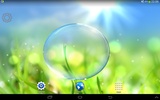 Spring Live Wallpaper screenshot 1