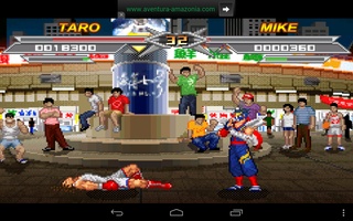 Kung Fu Do Fighting for Android 10