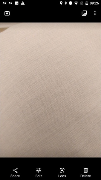 HedgeCam 2 - Preview 4