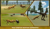 Wild African Cheetah Simulator screenshot 4