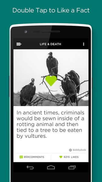UberFacts - Preview 1
