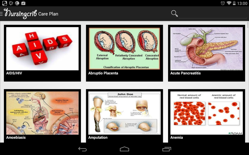 Care Plan - Preview 1