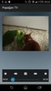 Parrot TV screenshot 1