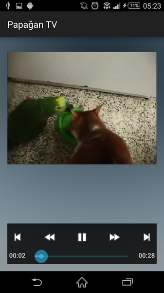 Parrot TV - Preview 1