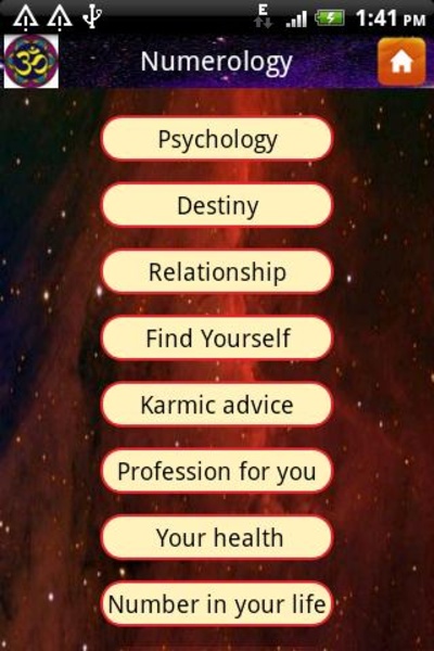 Numerology Guru - Preview 4