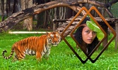 Tiger Photo Frames screenshot 1