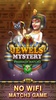 Jewels Mystery screenshot 13