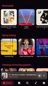 Bloomee Music screenshot