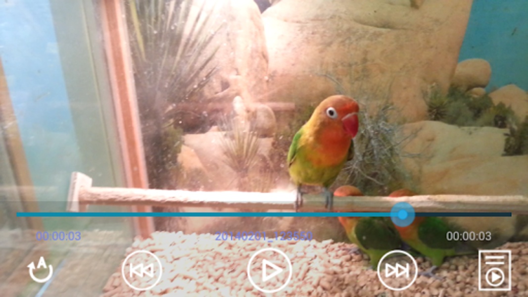 Folder Video - Preview 2