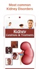 Kidney Diseases & Treatment screenshot 4