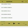 Audio Quran Mishary Offline mp3 screenshot 2