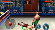 Real Wrestling 3D screenshot 6