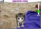 KittyZ Cat - Virtual Pet to ta screenshot 7