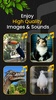 Animal Ringtones screenshot 2