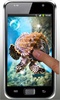 Tortoises Sea live wallpaper screenshot 1