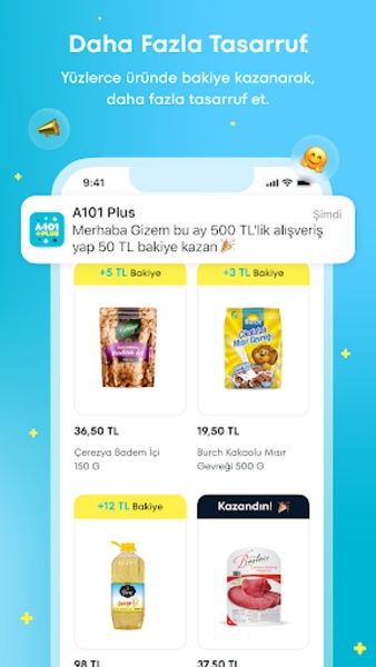 A101 Plus - Preview 7