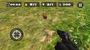 Chicken Shoot screenshot 9