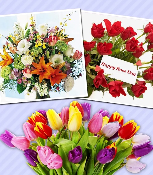Bouquet Maker - Preview 8