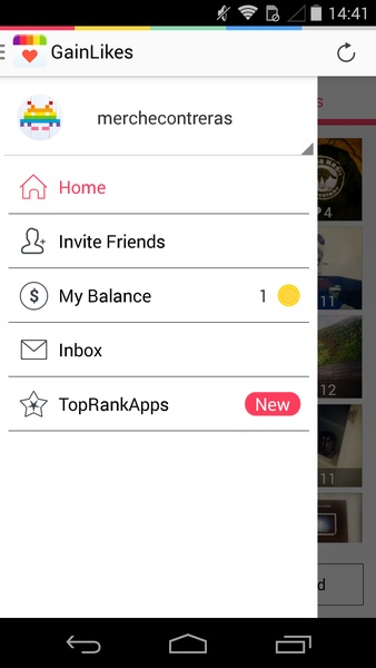 GainLikes for Instagram - Preview 2