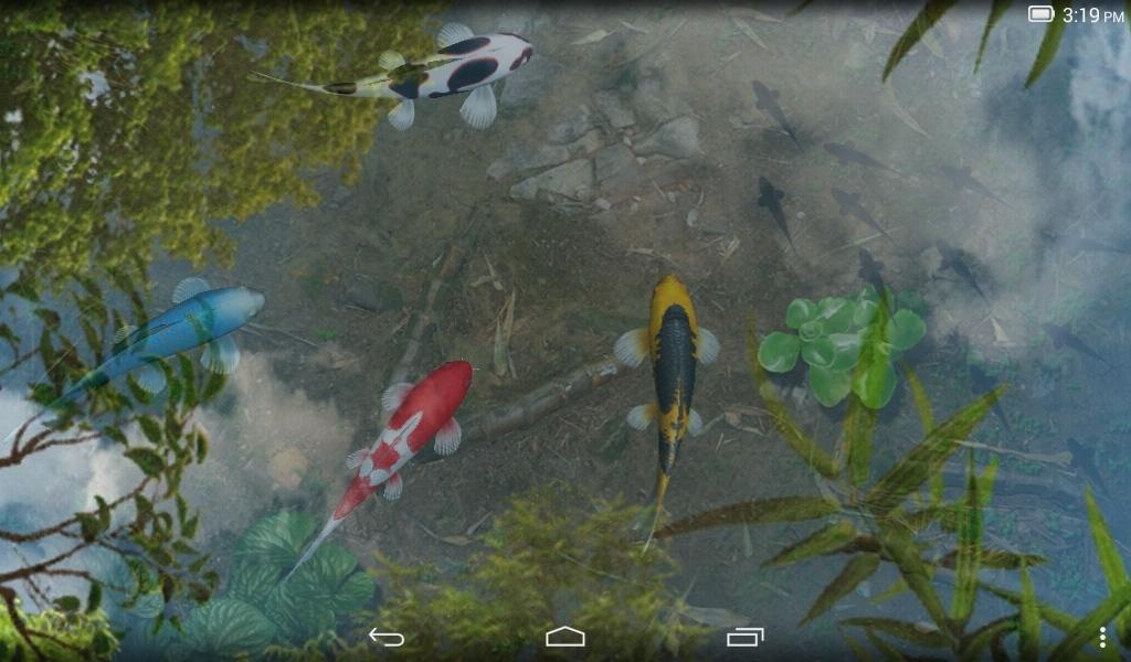 Water Garden - Preview 2