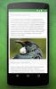 Birdlife of New Zealand Free screenshot 3